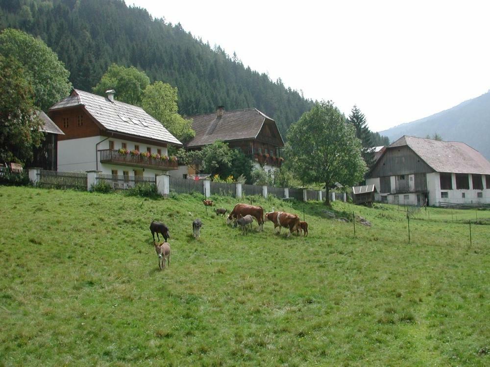 Ferienwohnung Payr Patergassen Exterior foto